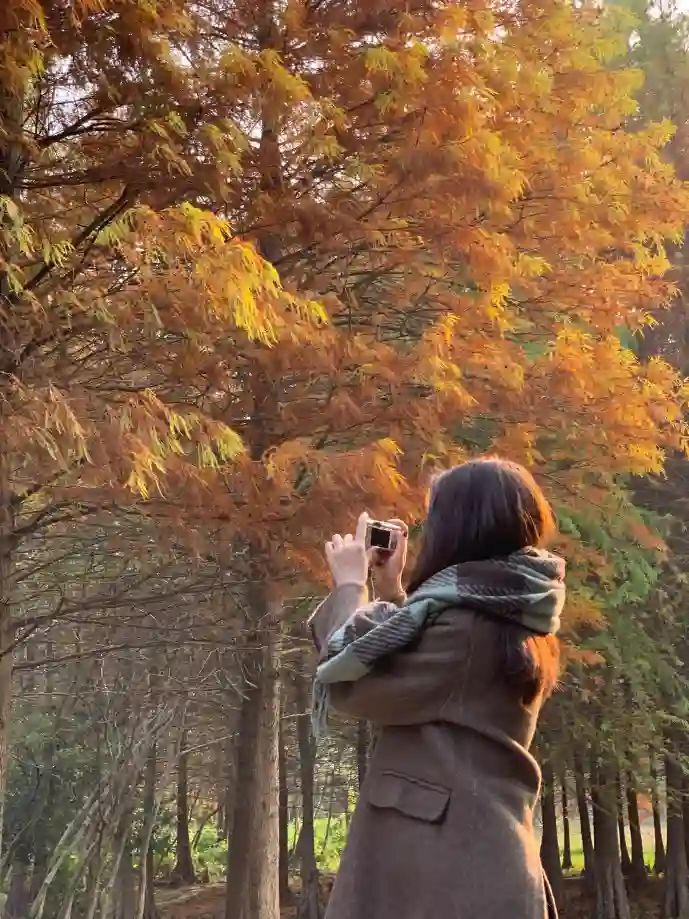 仙府之缘下载游戏截图