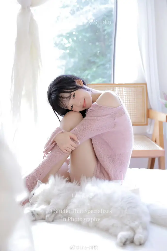 抢抢网下载数据分析图表